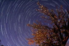 Startrails